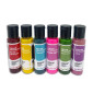 Set Colorantes Liposolubles x6 Und