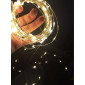 LUZ LED DE PILAS * 100 LED