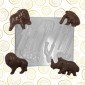 Molde animales x6