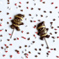 Molde papa noel traje x 3