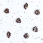 Molde choco hojas x 11