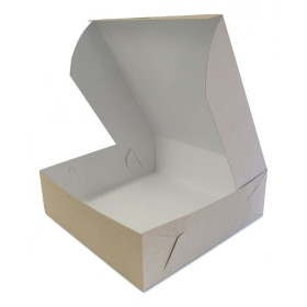 Caja de cartón 35 x 35 x 11 cm (1 1/2 lb)