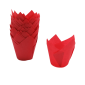 Capacillo rojo tulipan x 200