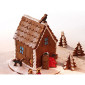 Molde silicona casa jengibre 3D