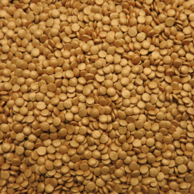 Gragea confetti dorada x 1 Kg