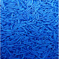 Gragea Jimmies Azul rey x 1 kg