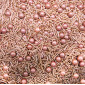 Gragea rose gold mix 1Kg