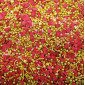 Gragea love crime mix 1 kg