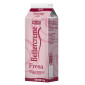 Crema Richs bettercreme de fresa x 1 kg