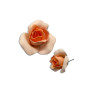 Rosa en pastillaje Med x Und