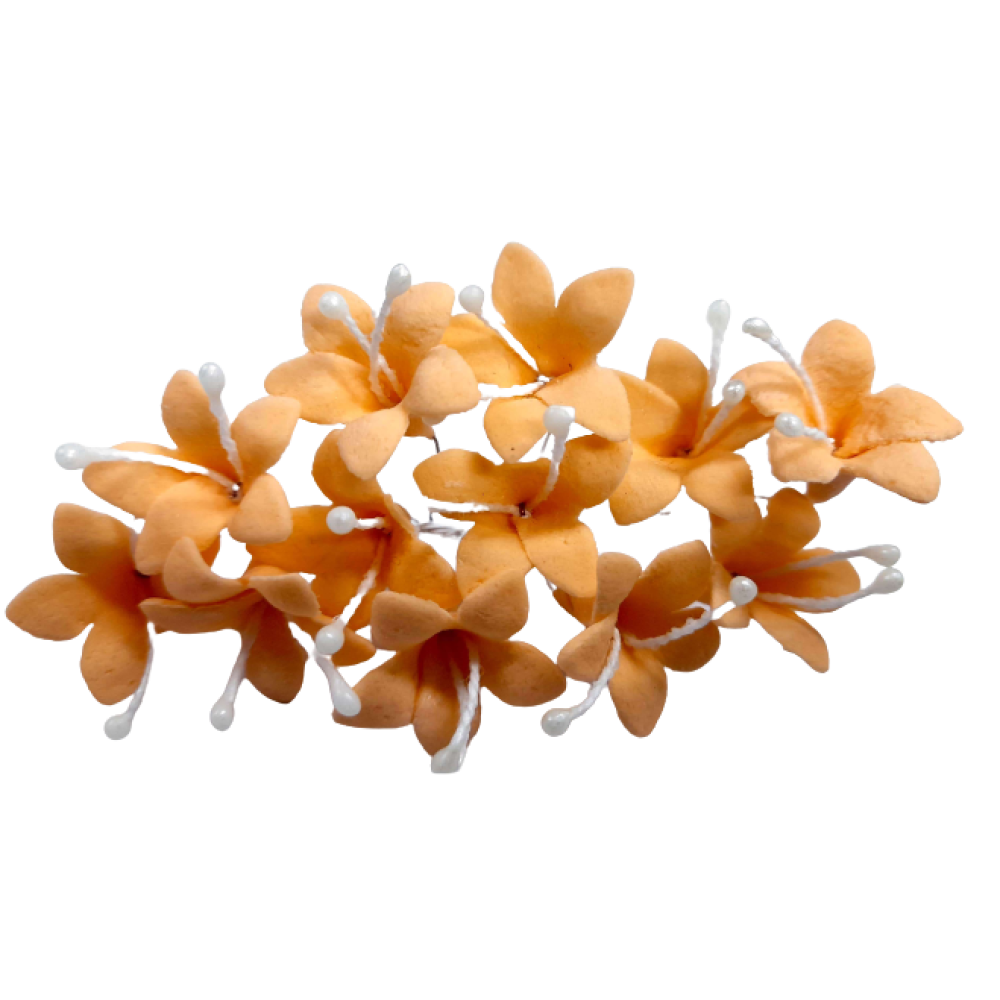Flores de azahar en pastillaje x  und 