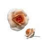 Rosa en pastillaje Grande x Und