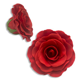 Rosa grande x  und 
