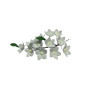 Flores manto de maría en pastillaje x  und 