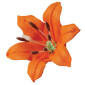 Pistilos de flores surtidos x 30 pc
