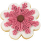 Juego para decorar galletas x 12pcs