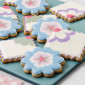 Set yo mismo aprendo a decorar galletas