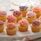 Molde mini cupcakes x12 cav.