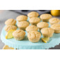 Molde mini cupcakes x12 cav.