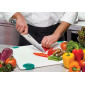 Cuchillo chef profesional 20 cm
