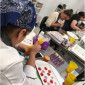 Curso Certificacion internacional metodo Wilton
